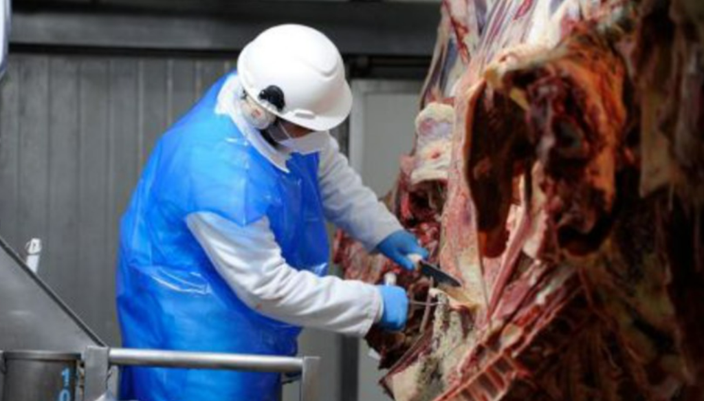 Apertura de nuevos mercados: Uruguay exportará estómagos bovinos a&nbsp;China